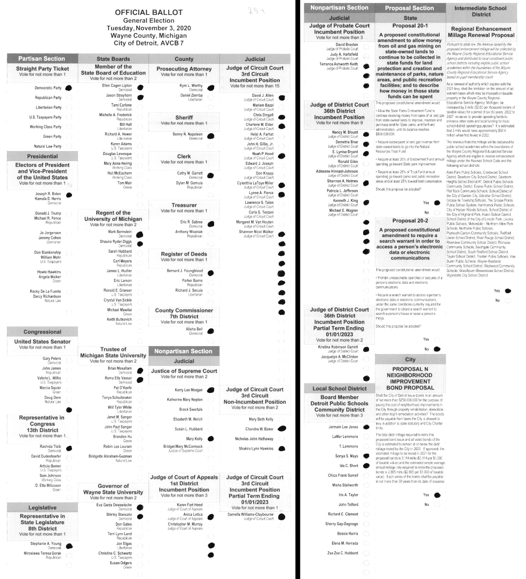 Primary-style BMD ballot example 1